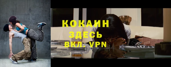 стаф Абинск