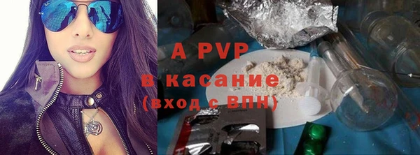 стаф Абинск