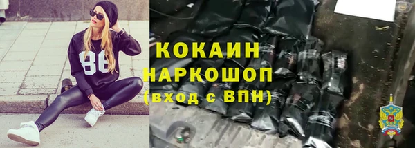 стаф Абинск