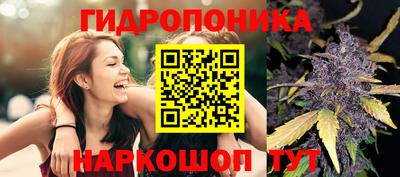 альфа пвп Краснодар
