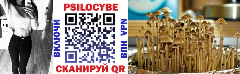 Галлюциногенные грибы Magic Shrooms Кимовск