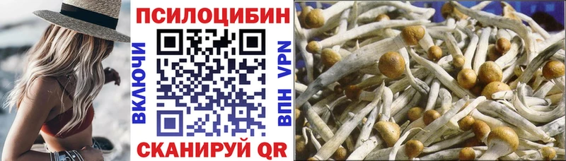 Галлюциногенные грибы Psilocybe  наркошоп  Кимовск 