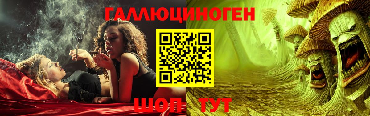 Кимовск  Псилоцибиновые грибы Psilocybe  Вход с VPN 